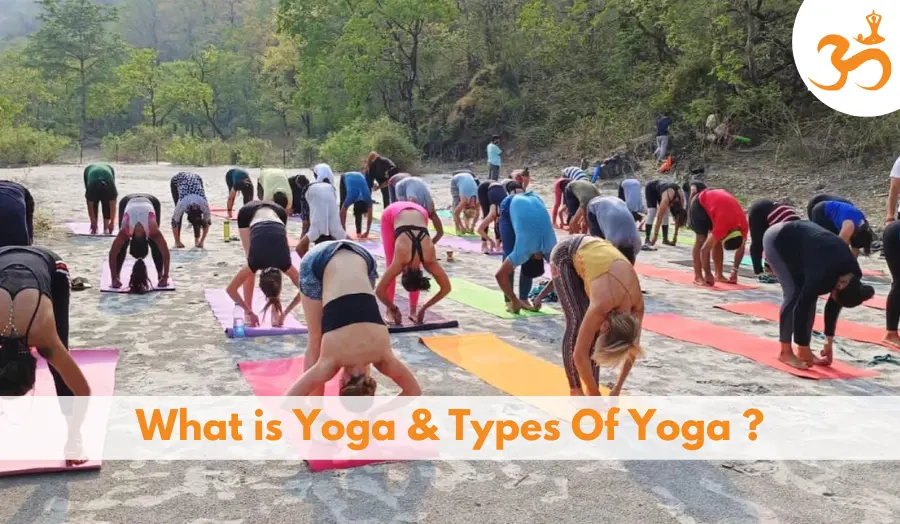 What is Yoga and Its Types? Meaning, 12 Styles and Benefits