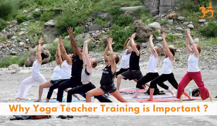Why Yoga Teacher Training Important